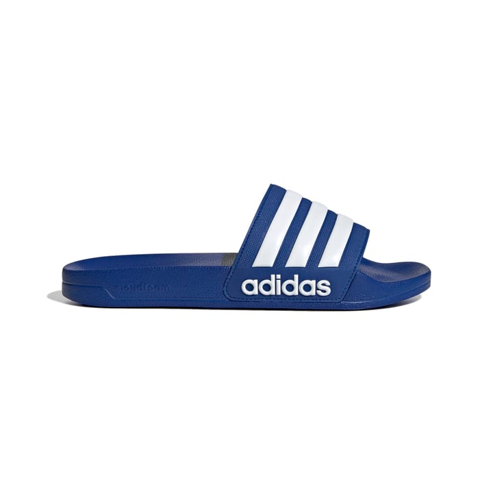 ADIDAS 1146 Team Royal Blue ADIDAS