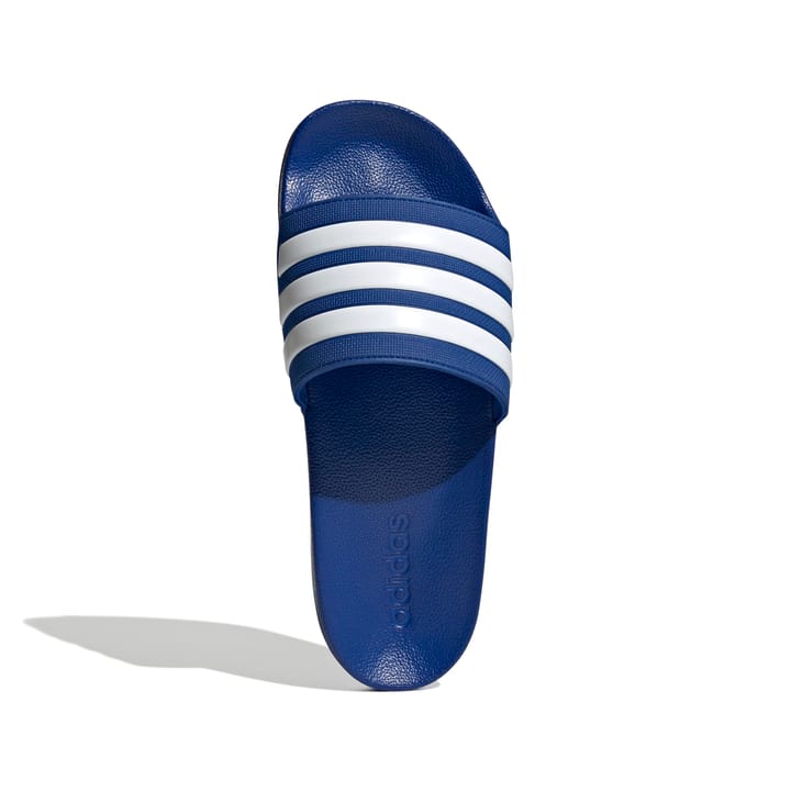 ADIDAS 1146 Team Royal Blue ADIDAS