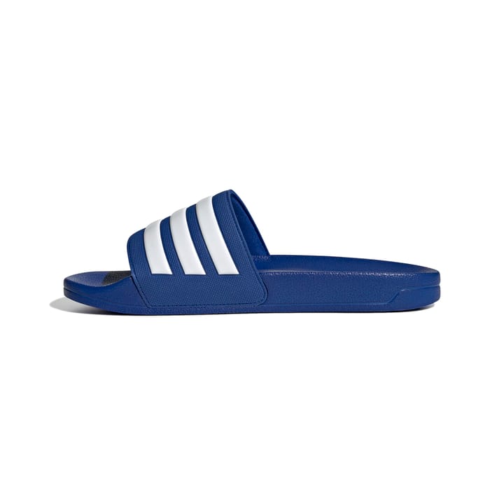 ADIDAS 1146 Team Royal Blue ADIDAS