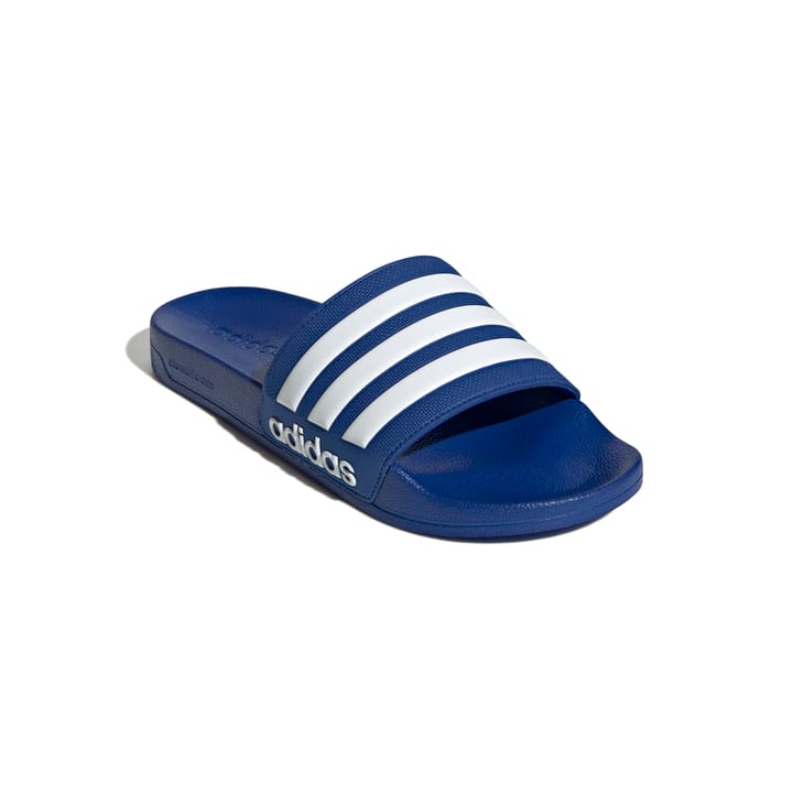 ADIDAS 1146 Team Royal Blue ADIDAS