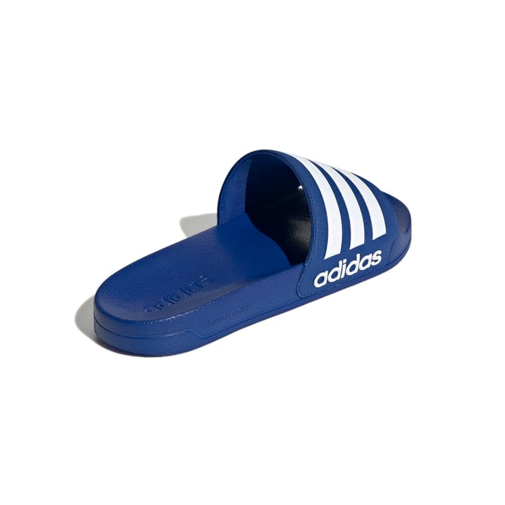 ADIDAS 1146 Team Royal Blue ADIDAS
