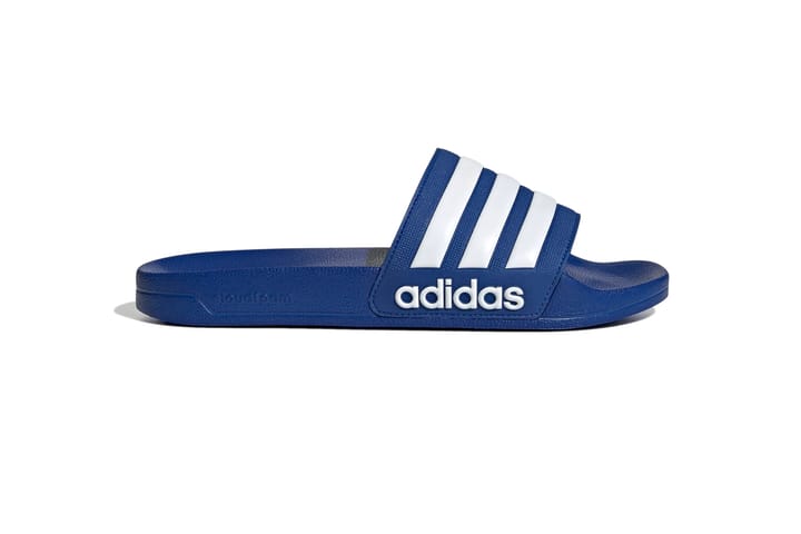 ADIDAS 1146 Team Royal Blue ADIDAS