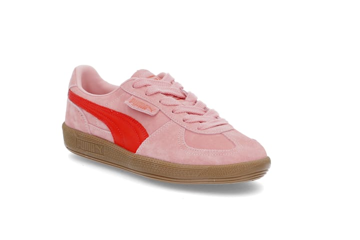 PUMA 3536 Rosy Outlook-Gu PUMA
