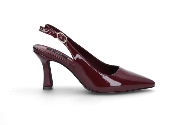 EDIT 1629 BURGUNDY EDIT